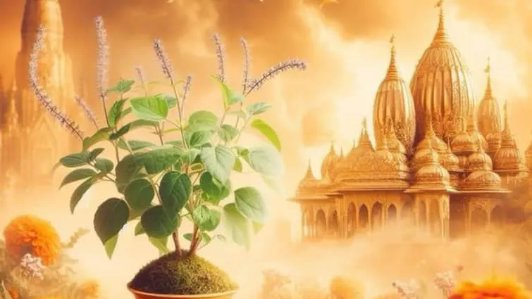 Cover Image for Pandit for Tulsi Vivah Puja in Bangalore: Significance, Rituals & Booking Guide